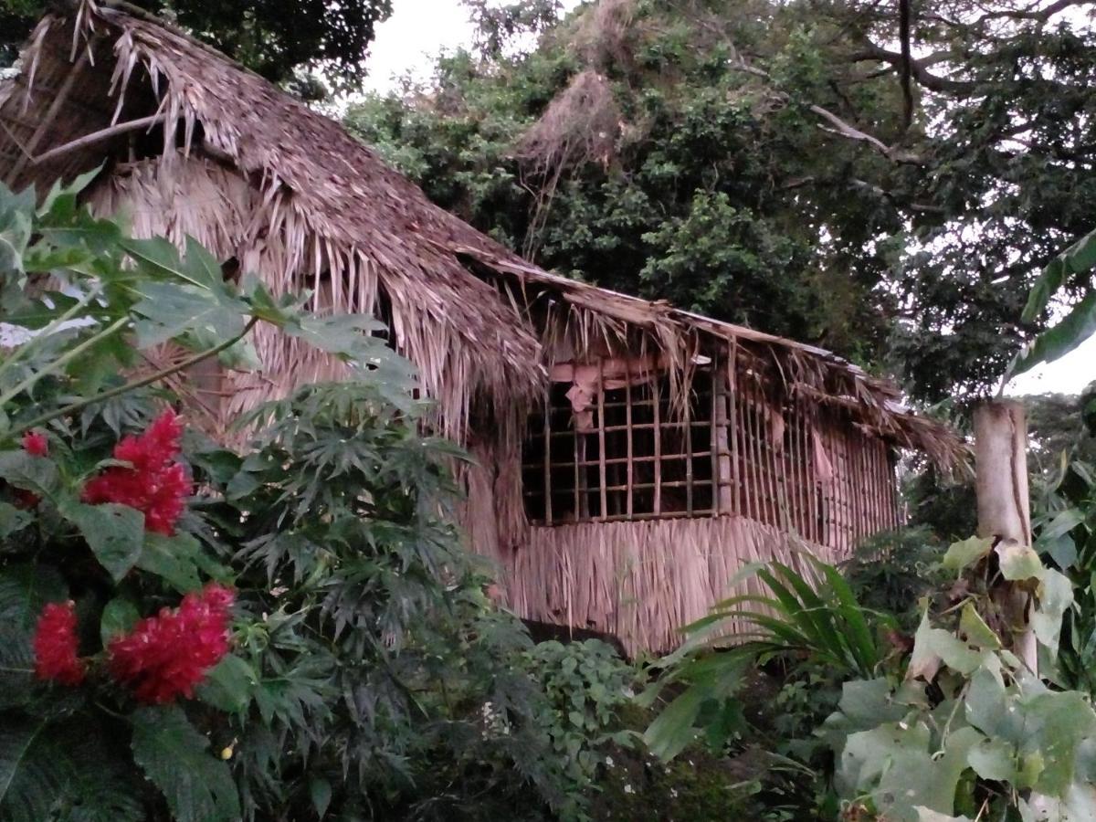 El Bamboo Cabins Balgue Exterior photo