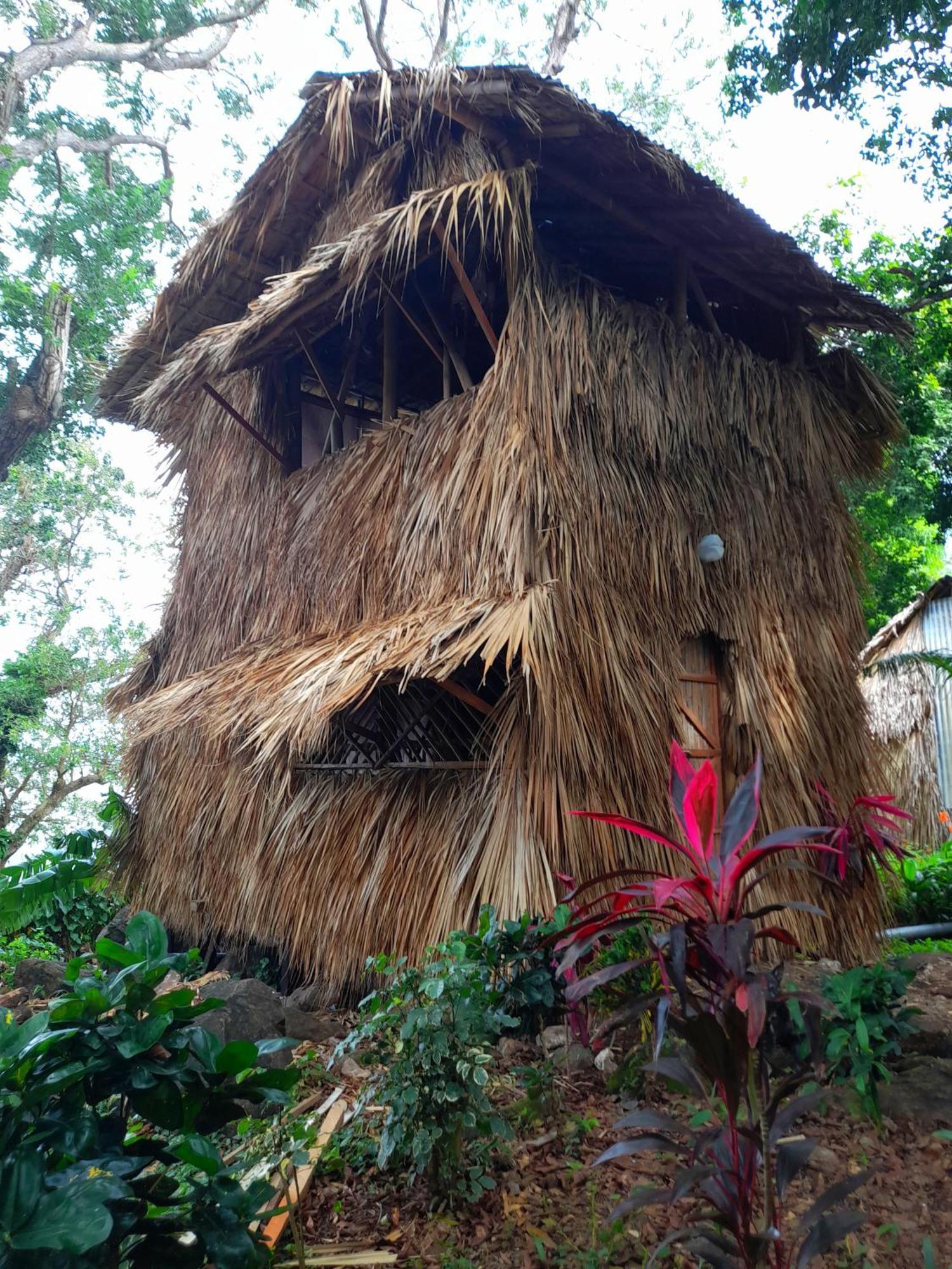 El Bamboo Cabins Balgue Exterior photo