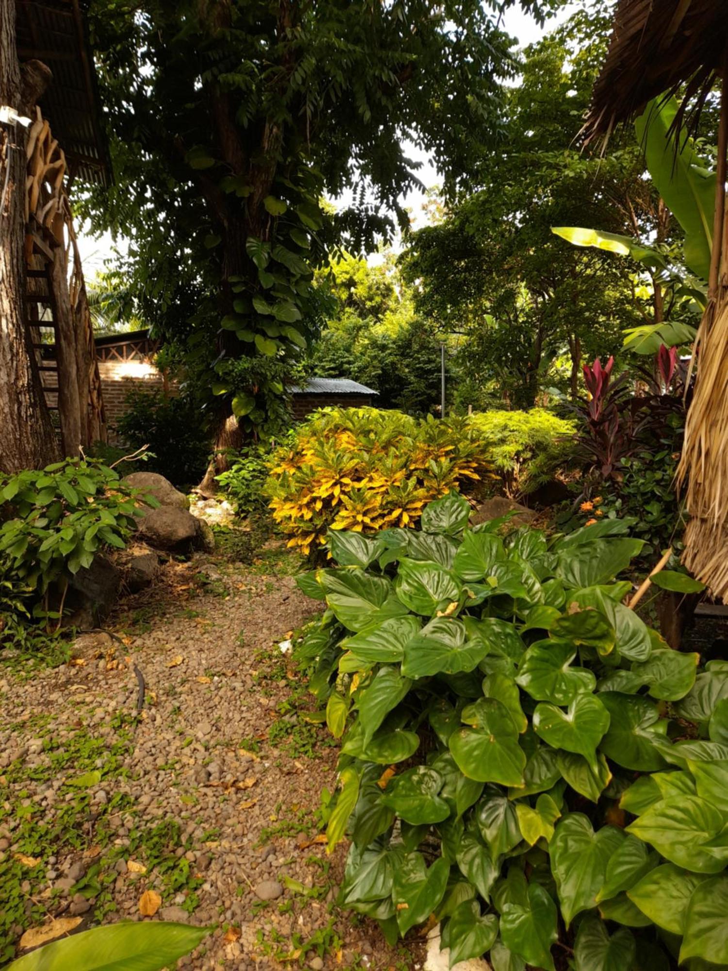 El Bamboo Cabins Balgue Exterior photo