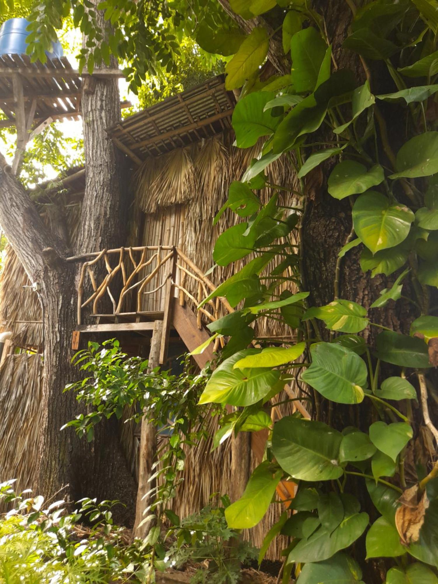 El Bamboo Cabins Balgue Exterior photo