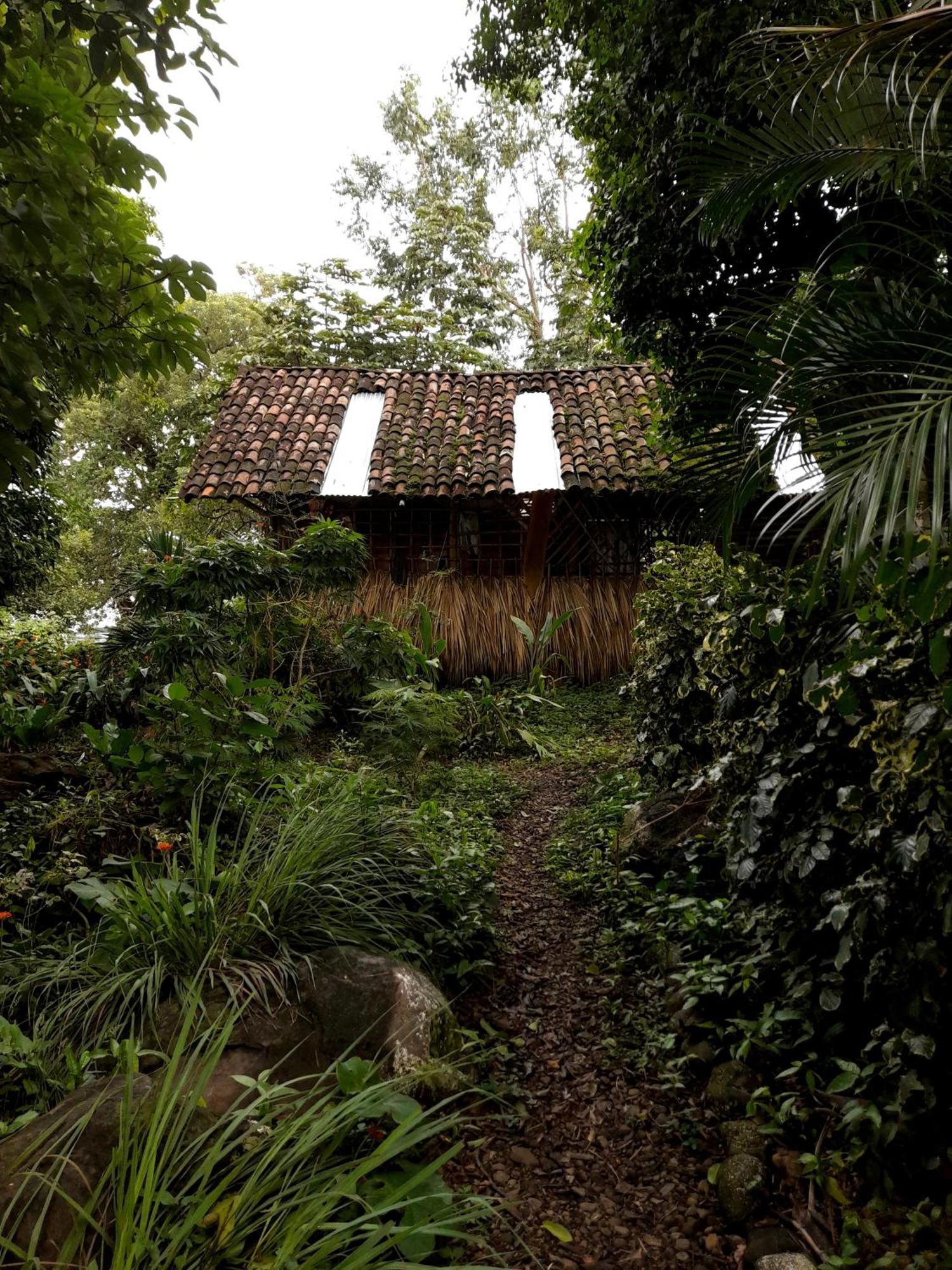 El Bamboo Cabins Balgue Exterior photo