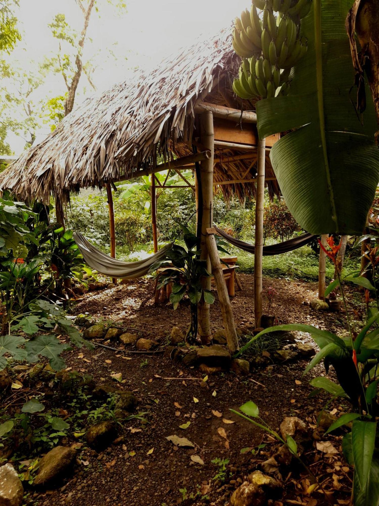 El Bamboo Cabins Balgue Exterior photo