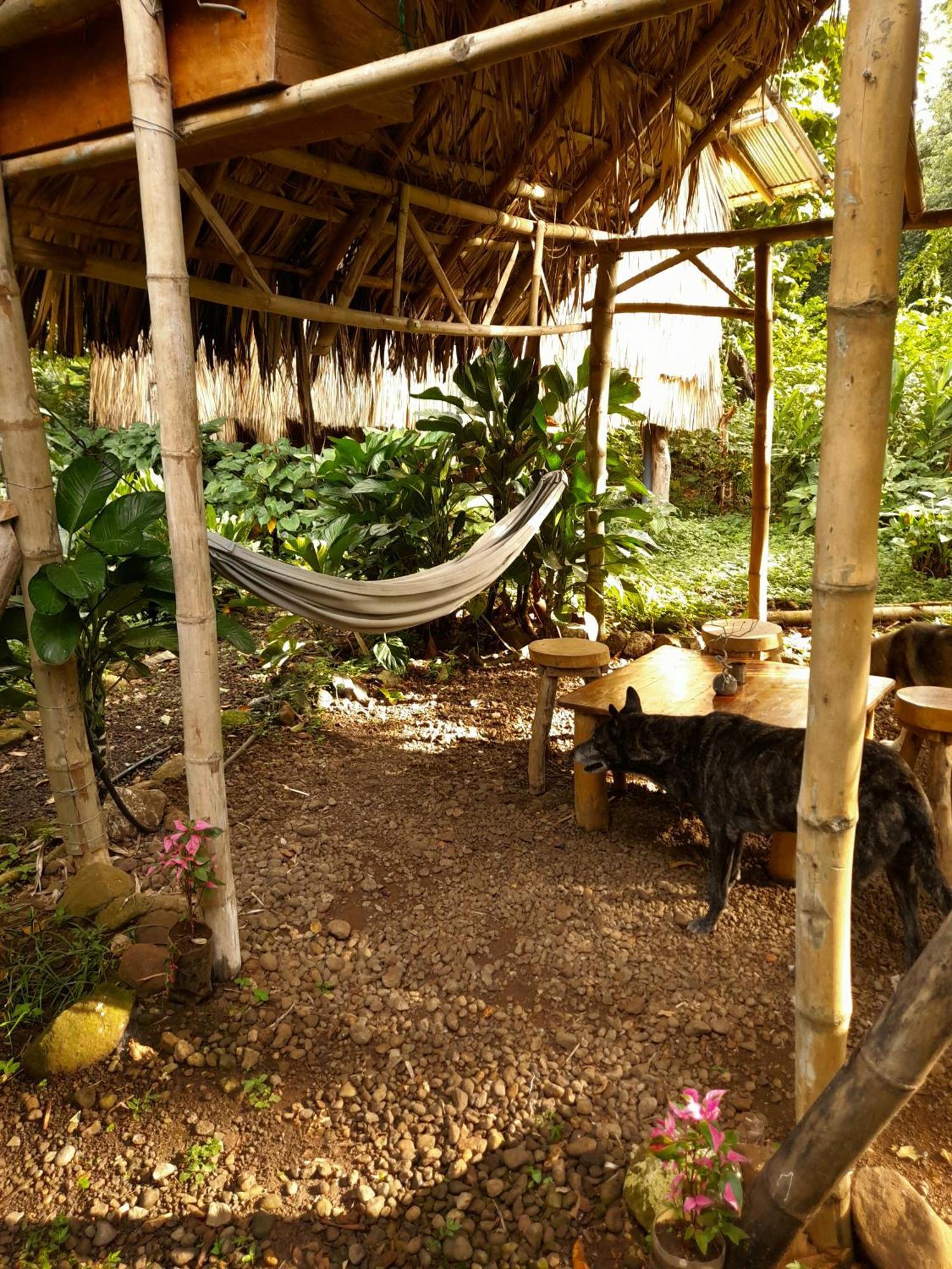 El Bamboo Cabins Balgue Exterior photo