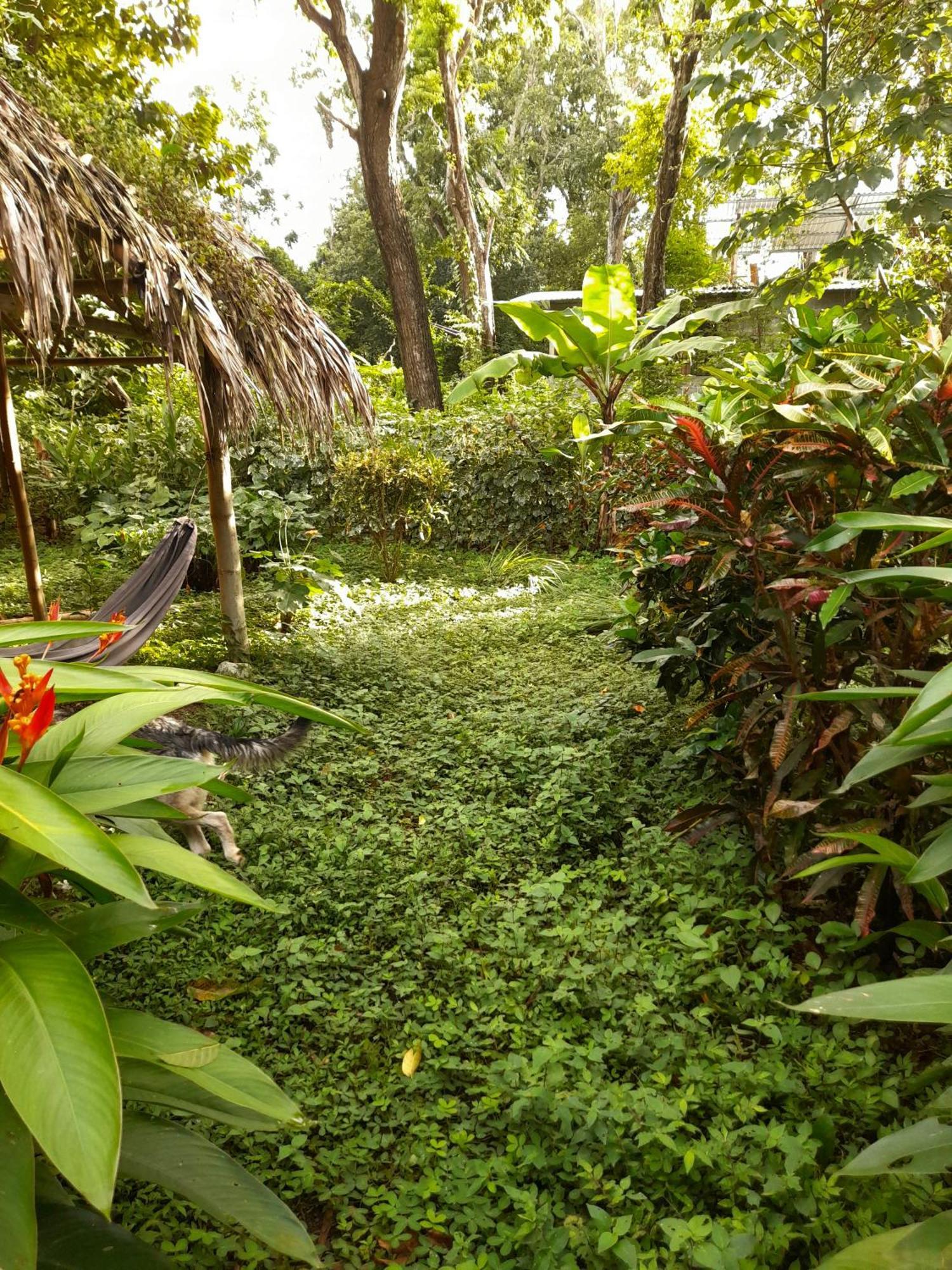 El Bamboo Cabins Balgue Exterior photo