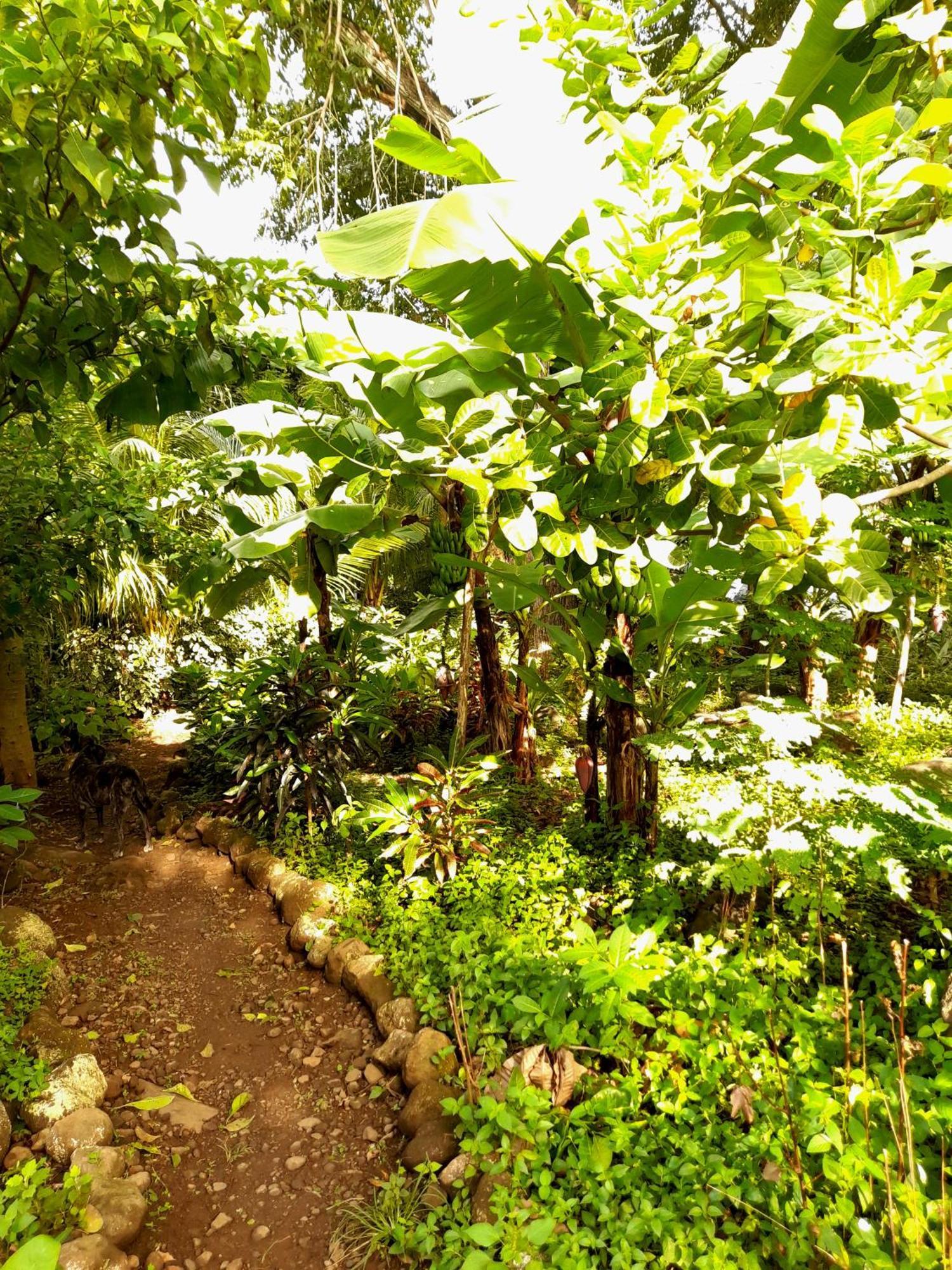El Bamboo Cabins Balgue Exterior photo