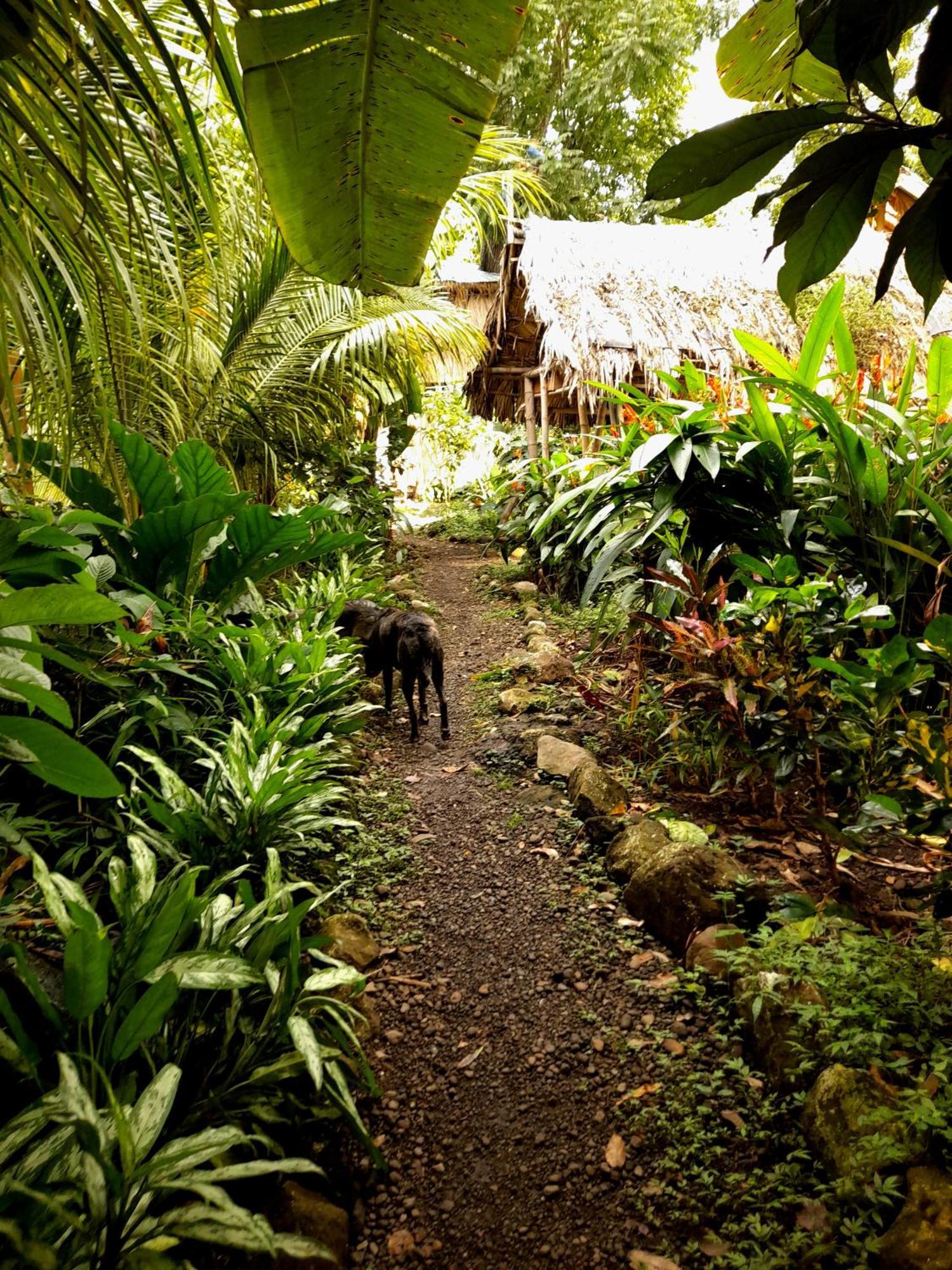El Bamboo Cabins Balgue Exterior photo