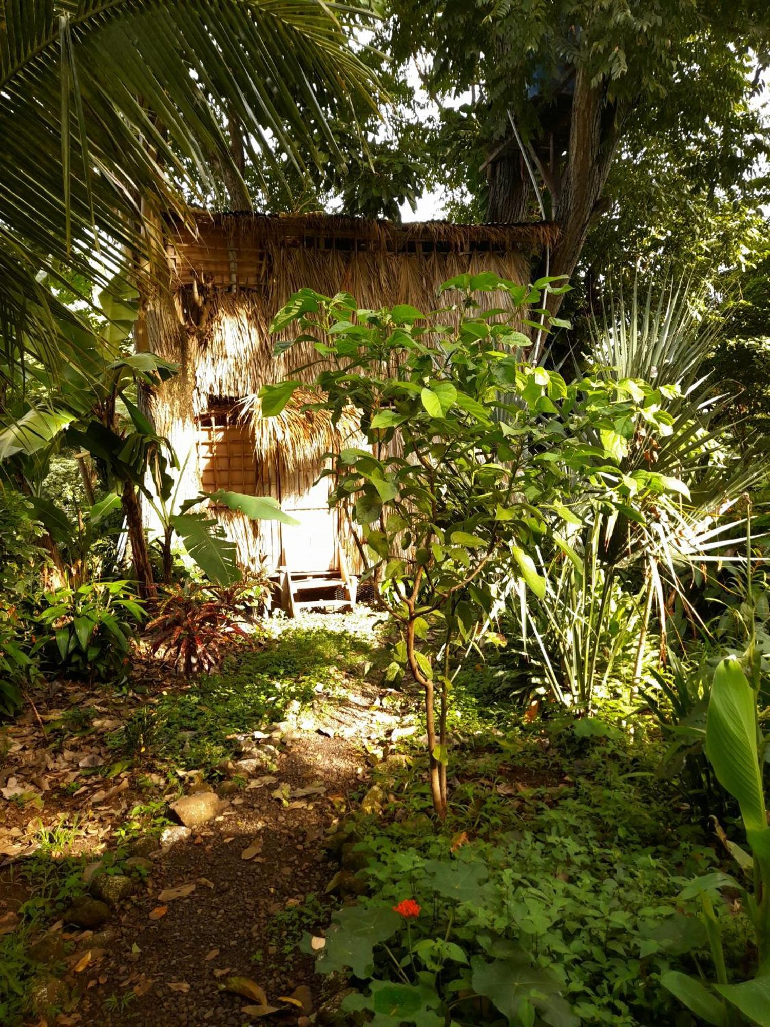 El Bamboo Cabins Balgue Exterior photo