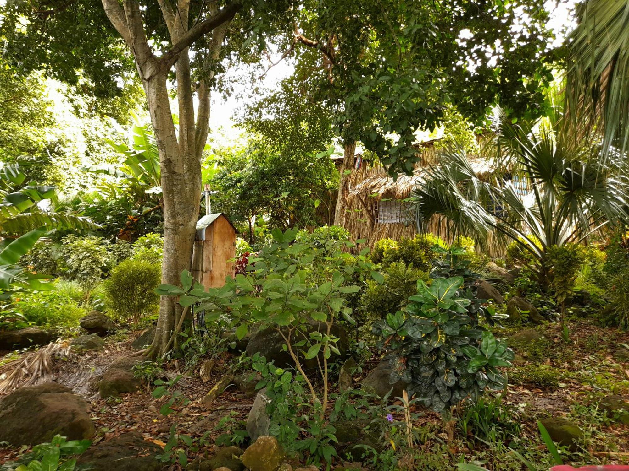 El Bamboo Cabins Balgue Exterior photo
