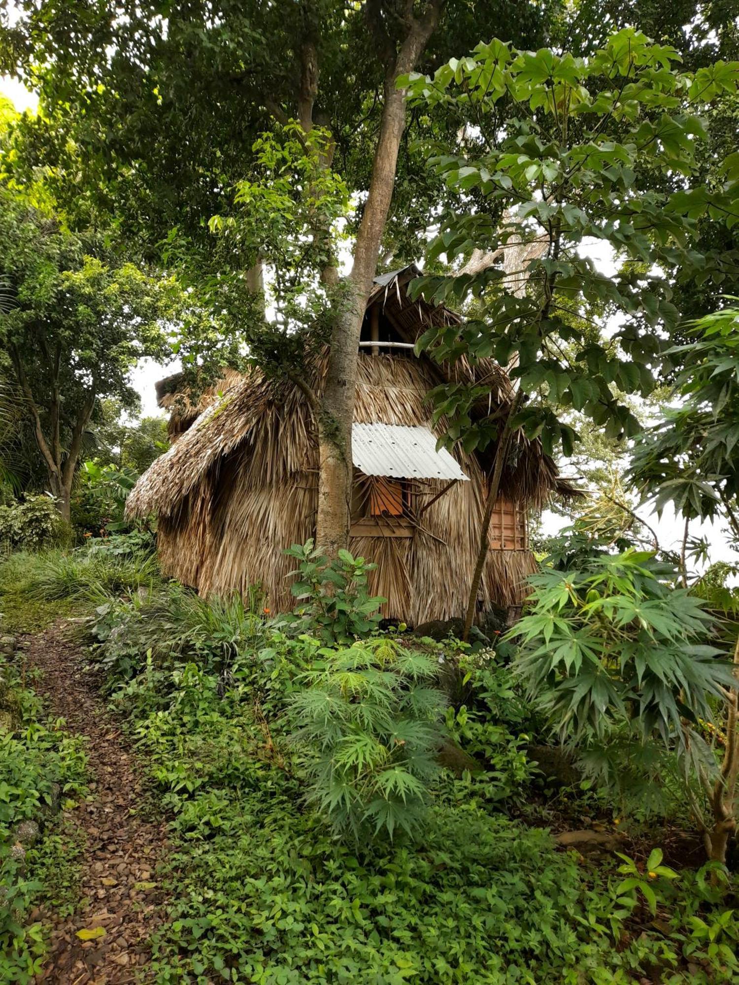 El Bamboo Cabins Balgue Exterior photo