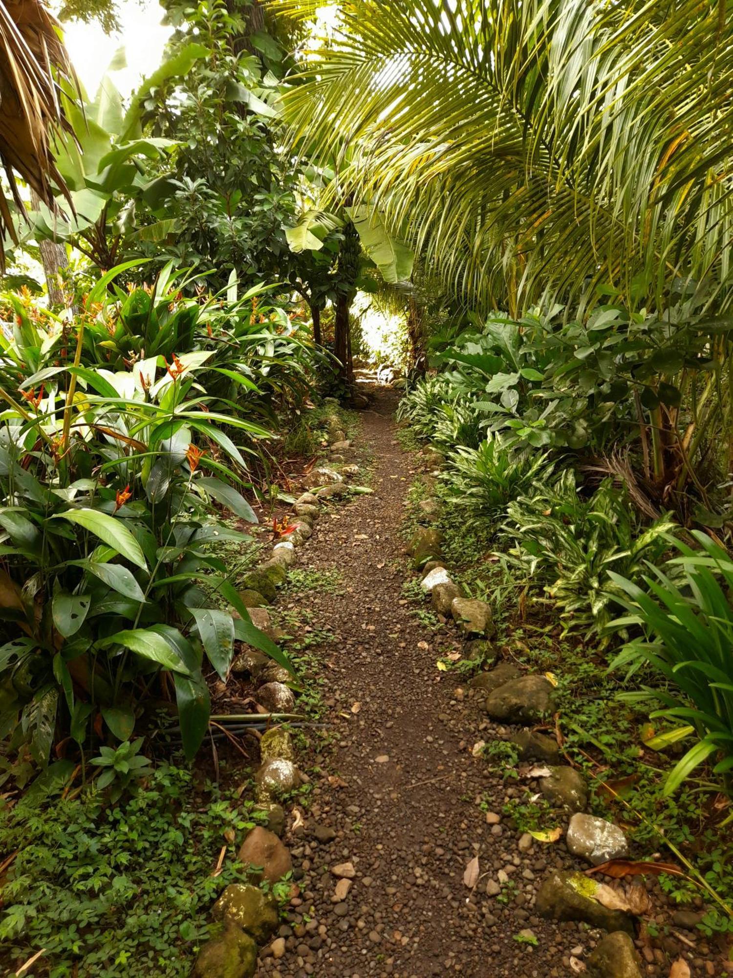 El Bamboo Cabins Balgue Exterior photo